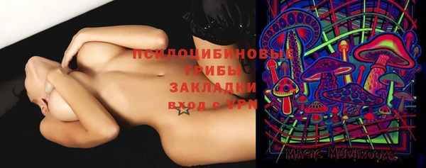 мет Надым