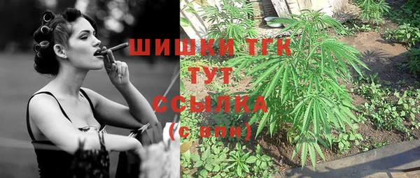 мет Надым