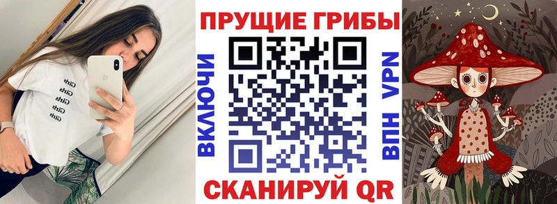 Купить где  Фатеж  Псилоцибиновые грибы мухоморы 