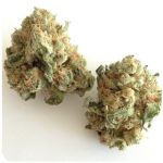 Шишки "White Widow"  (Белая вдова)  Гидропоника -  Бошка VHQ в Фатеже